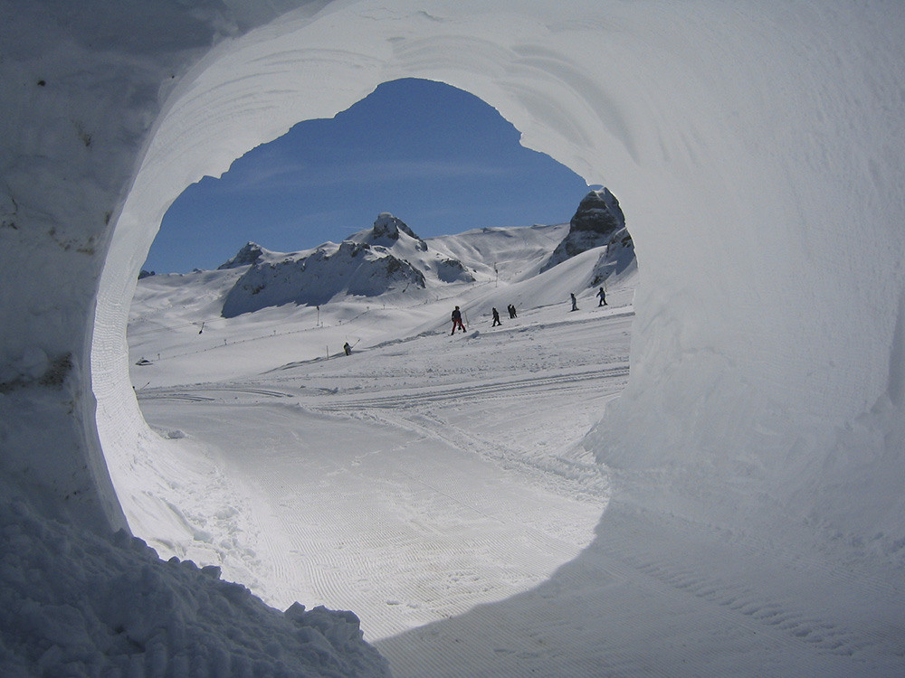 Baechler Top Track PARK RUNNER 03