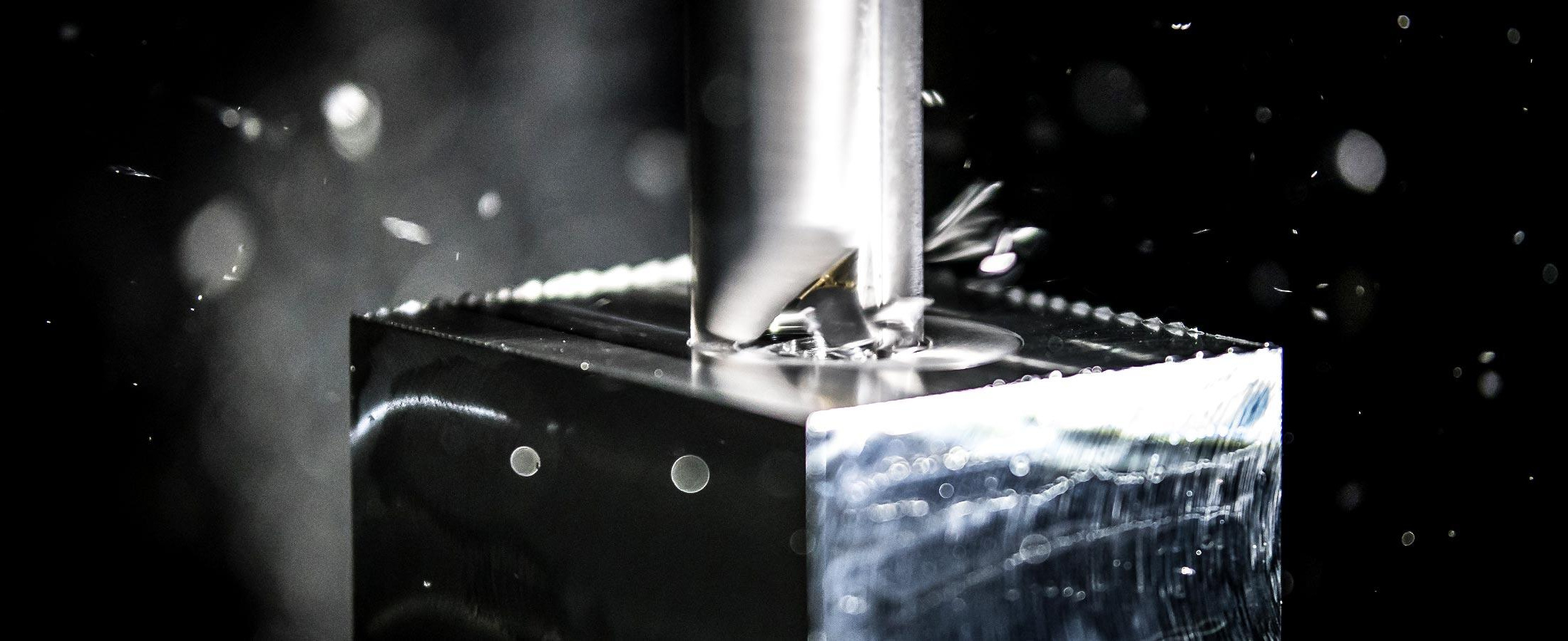 <p>the pioneer in<br
/>snowtechnology</p>