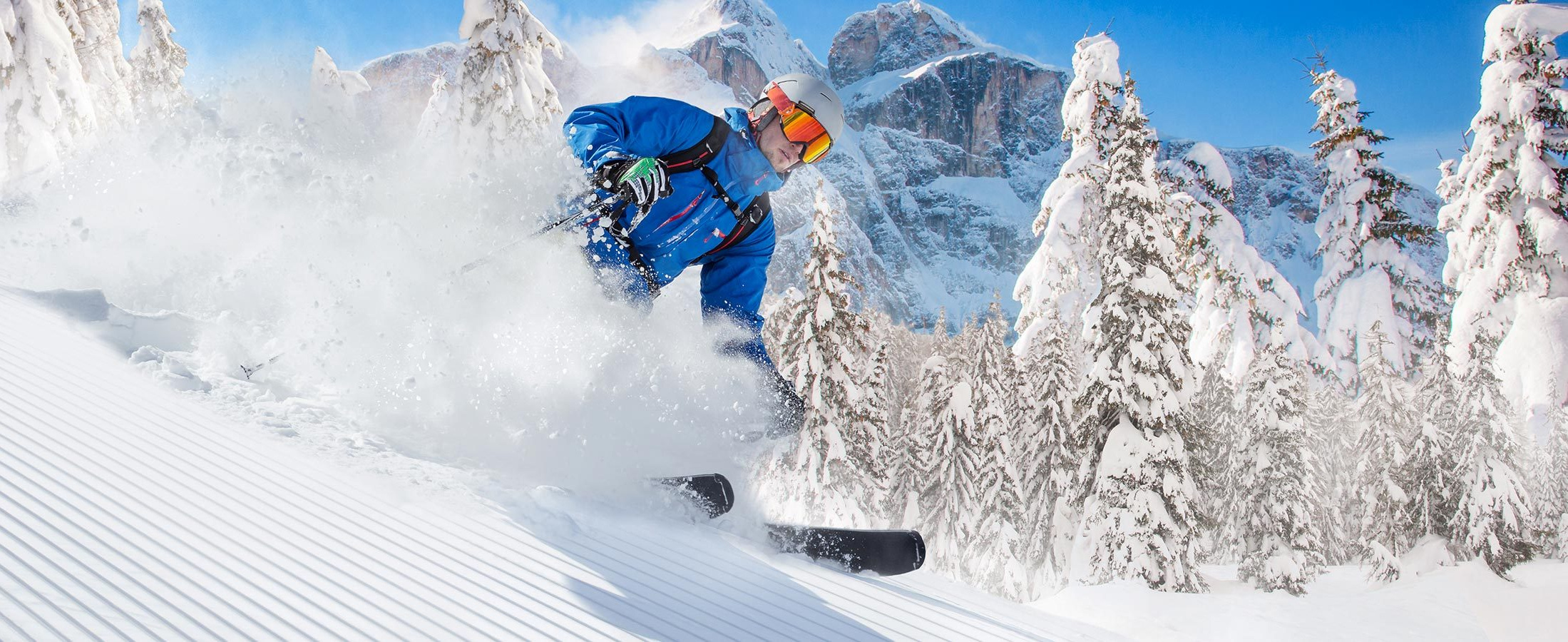 <p>the pioneer in<br
/>snowtechnology</p>